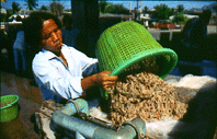 Traditioneller Fischfang